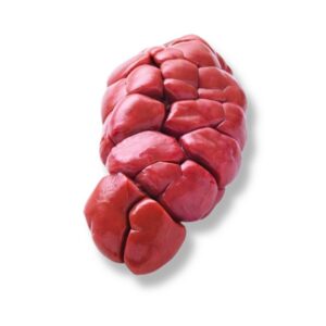 Rognon de bœuf frais – Saveur authentique et nutritive